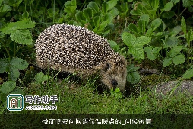 微商晚安问候语句温暖点的_问候短信