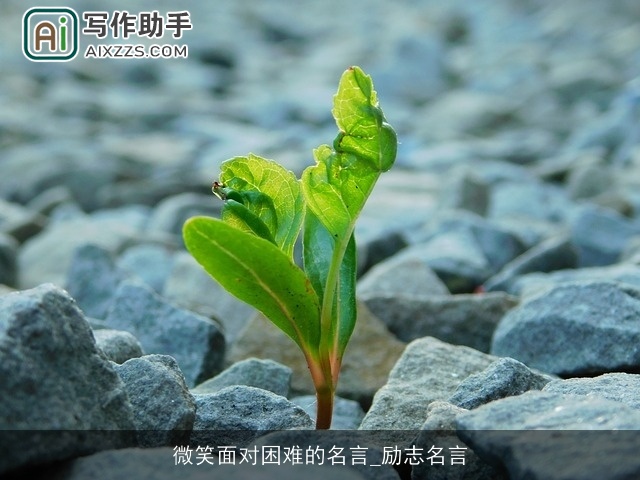 微笑面对困难的名言_励志名言