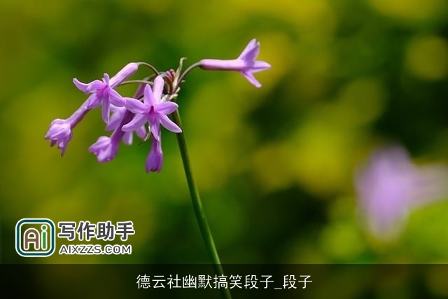 德云社幽默搞笑段子_段子