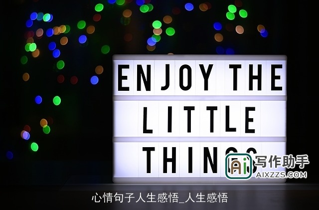 心情句子人生感悟_人生感悟