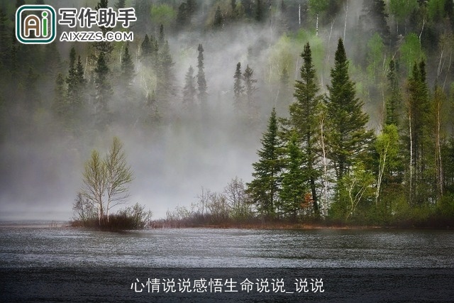 心情说说感悟生命说说_说说