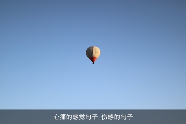 心痛的感觉句子_伤感的句子