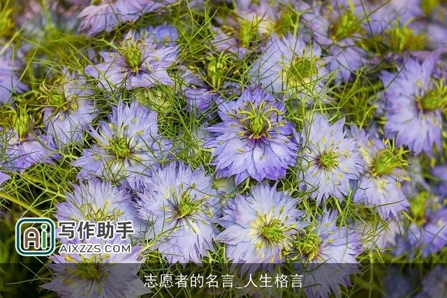 志愿者的名言_人生格言