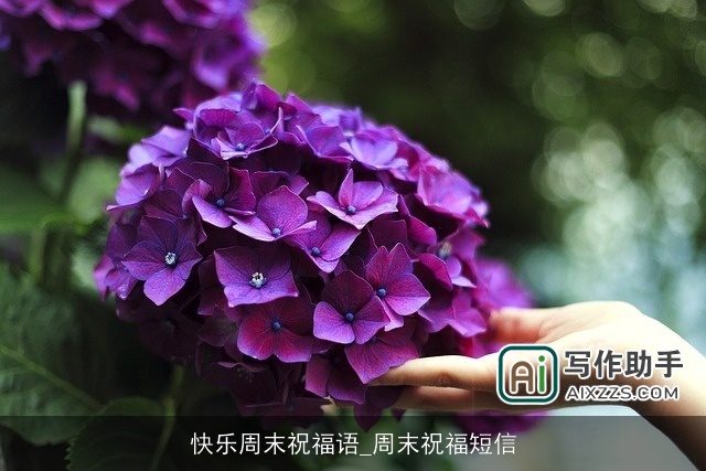 快乐周末祝福语_周末祝福短信