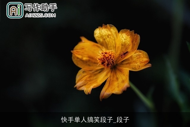 快手单人搞笑段子_段子