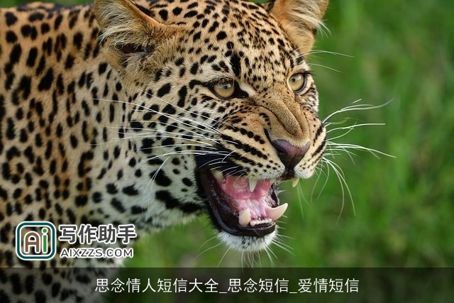 思念情人短信大全_思念短信_爱情短信