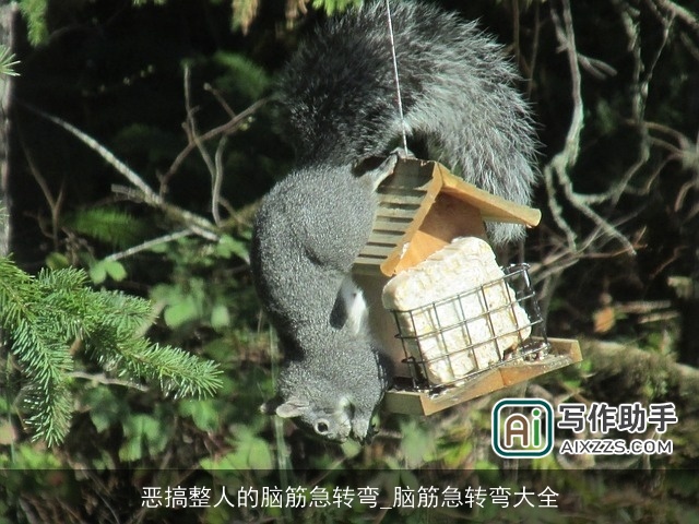 恶搞整人的脑筋急转弯_脑筋急转弯大全