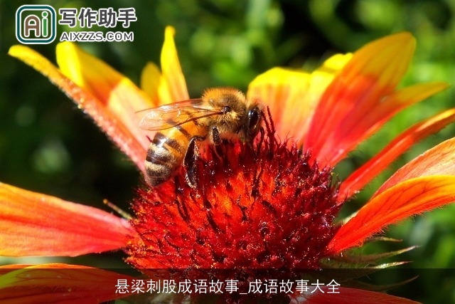 悬梁刺股成语故事_成语故事大全