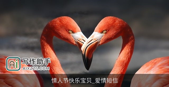 情人节快乐宝贝_爱情短信