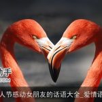 情人节感动女朋友的话语大全_爱情语句