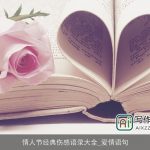 情人节经典伤感语录大全_爱情语句