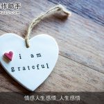 情感人生感悟_人生感悟