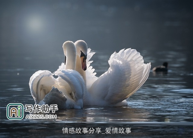 情感故事分享_爱情故事