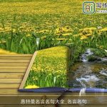 惠特曼名言名句大全_名言名句