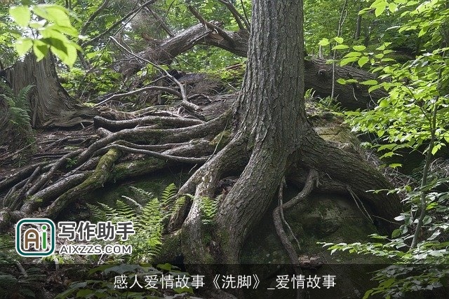 感人爱情故事《洗脚》_爱情故事