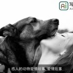 感人的动物爱情故事_爱情故事