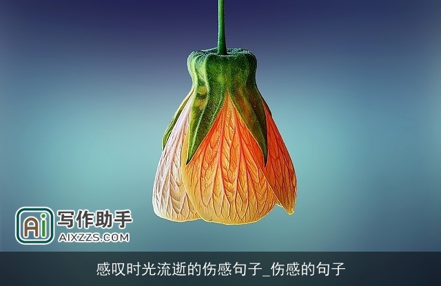 感叹时光流逝的伤感句子_伤感的句子