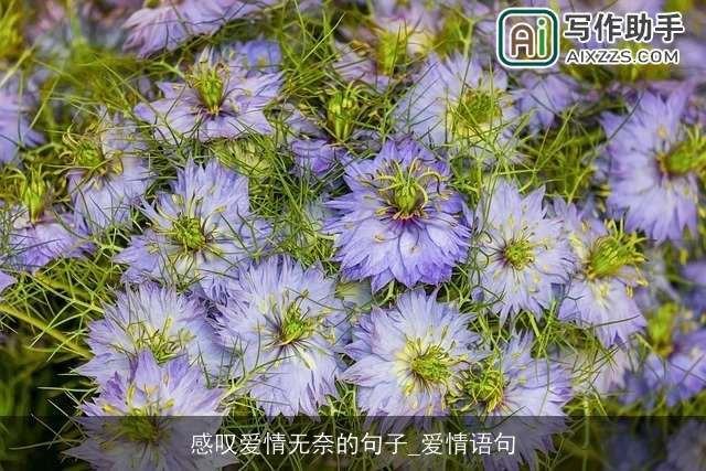 感叹爱情无奈的句子_爱情语句