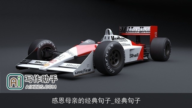 感恩母亲的经典句子_经典句子