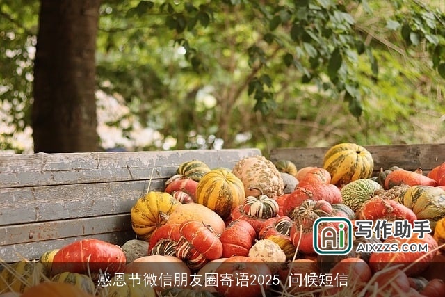感恩节微信朋友圈寄语2025_问候短信