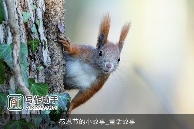 感恩节的小故事_童话故事