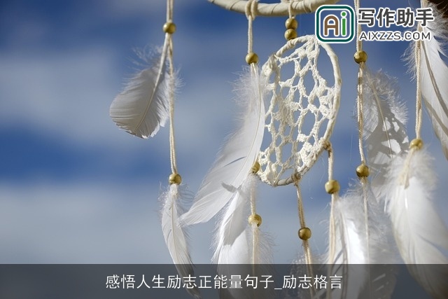 感悟人生励志正能量句子_励志格言