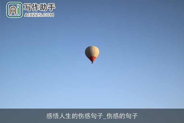 感悟人生的伤感句子_伤感的句子