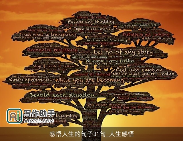 感悟人生的句子31句_人生感悟