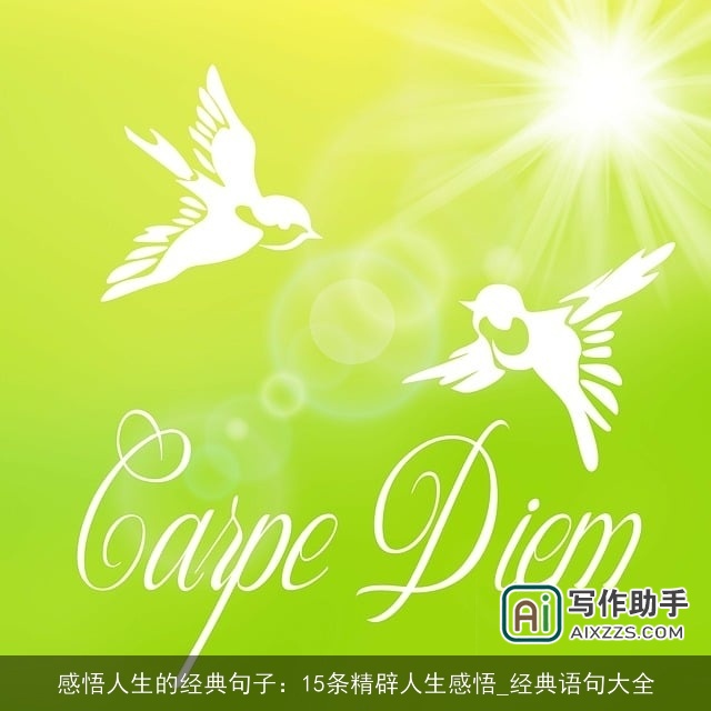 感悟人生的经典句子：15条精辟人生感悟_经典语句大全