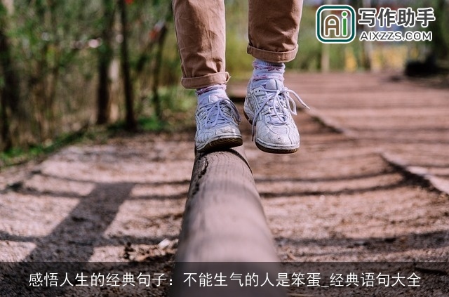 感悟人生的经典句子：不能生气的人是笨蛋_经典语句大全