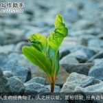 感悟人生的经典句子：人之所以能，是相信能_经典语句大全