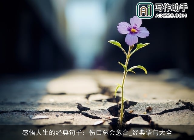 感悟人生的经典句子：伤口总会愈合_经典语句大全