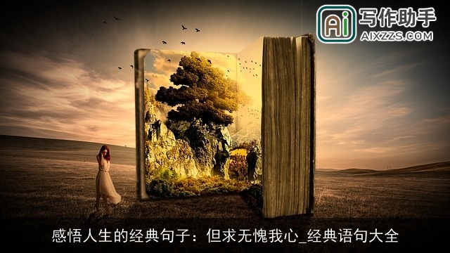 感悟人生的经典句子：但求无愧我心_经典语句大全