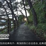 感悟人生的经典句子：再深的伤口总会愈合_经典语句大全
