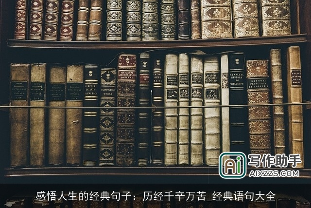 感悟人生的经典句子：历经千辛万苦_经典语句大全