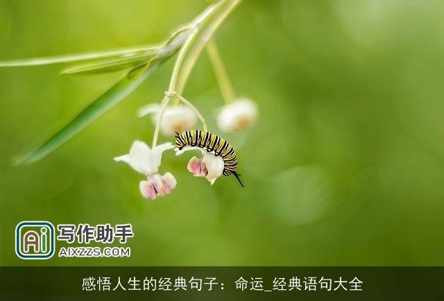 感悟人生的经典句子：命运_经典语句大全