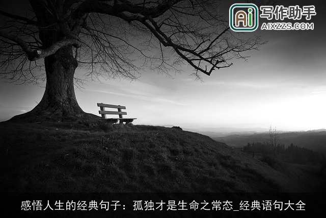 感悟人生的经典句子：孤独才是生命之常态_经典语句大全