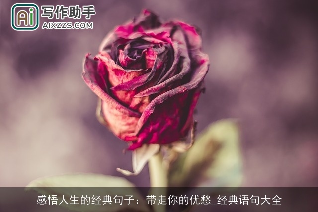 感悟人生的经典句子：带走你的优愁_经典语句大全