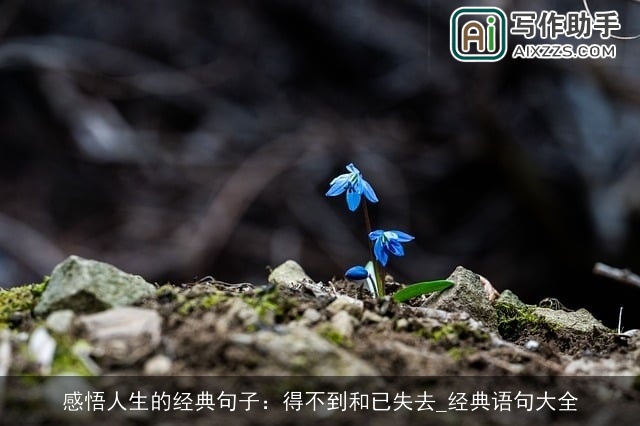 感悟人生的经典句子：得不到和已失去_经典语句大全