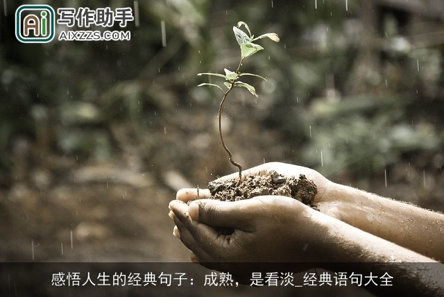 感悟人生的经典句子：成熟，是看淡_经典语句大全