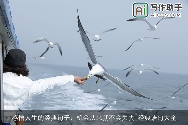 感悟人生的经典句子：机会从来就不会失去_经典语句大全