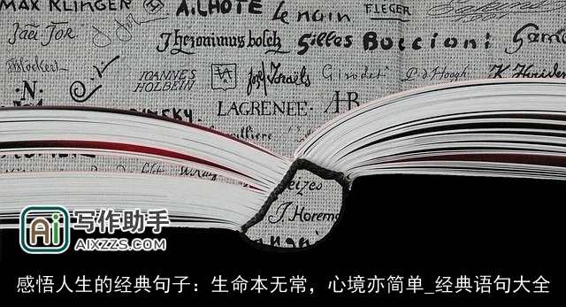 感悟人生的经典句子：生命本无常，心境亦简单_经典语句大全