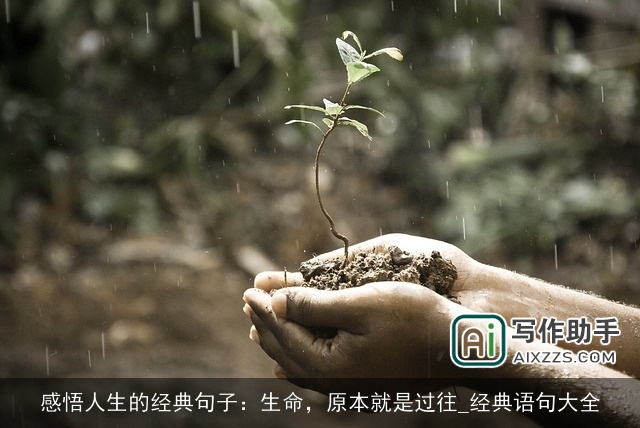 感悟人生的经典句子：生命，原本就是过往_经典语句大全