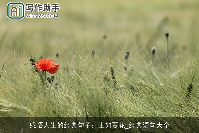 感悟人生的经典句子：生如夏花_经典语句大全