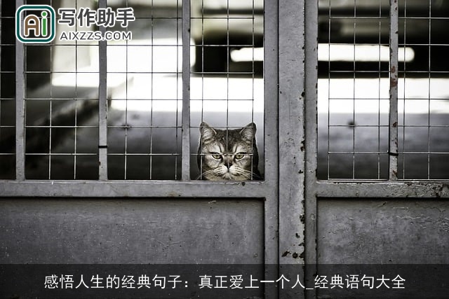 感悟人生的经典句子：真正爱上一个人_经典语句大全