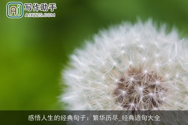 感悟人生的经典句子：繁华历尽_经典语句大全