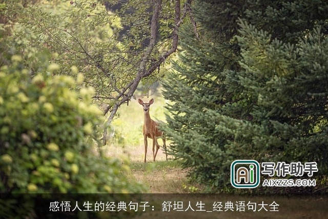 感悟人生的经典句子：舒坦人生_经典语句大全