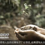 感悟人生的经典句子：论情感_经典语句大全