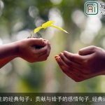 感悟人生的经典句子：贡献与给予的感悟句子_经典语句大全