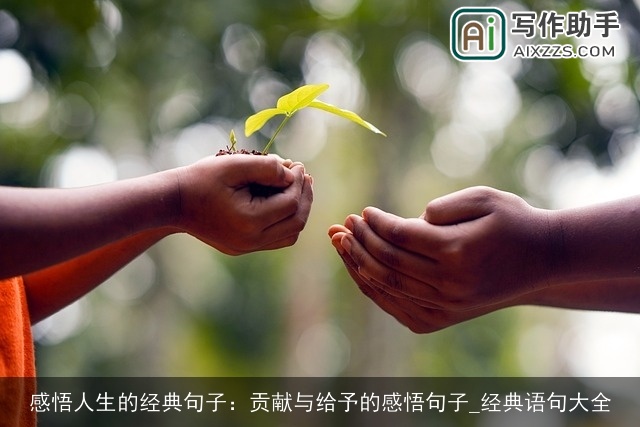 感悟人生的经典句子：贡献与给予的感悟句子_经典语句大全